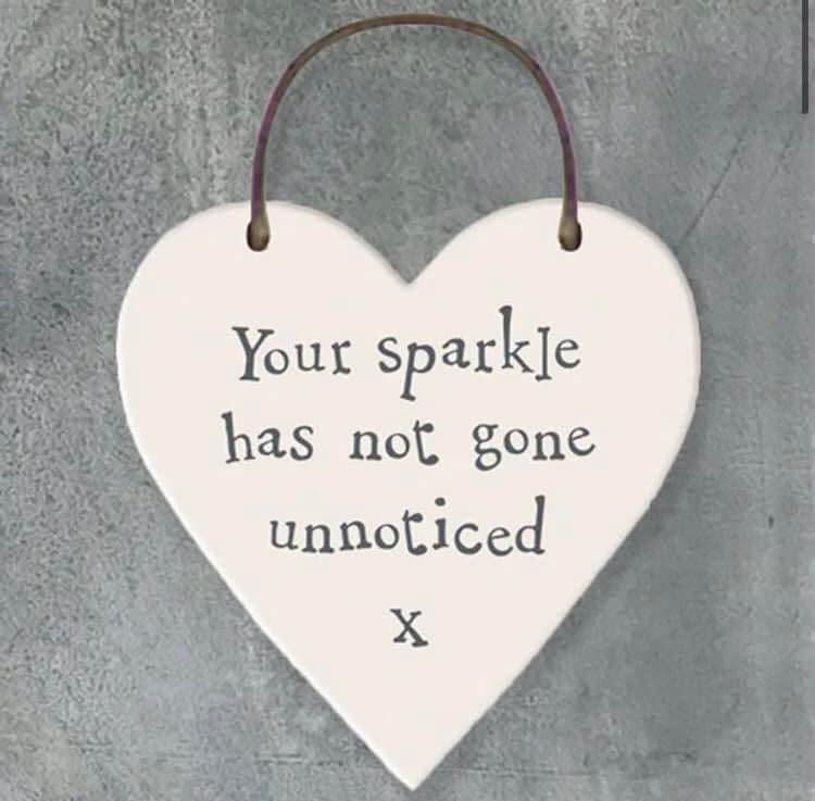 Abbie’s Sparkle 100 Lottery raises £6866